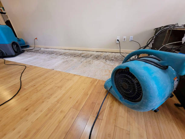 Professional Flood Damage Cleanup technician working in Westwood, MI